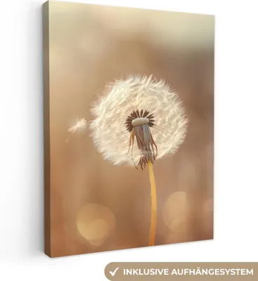 Produktbild von Leinwand Bilder 60x80 cm - Blumen - Löwenzahn - Beige, Wandbilder, Wanddeko Wohnzimmer, Bild