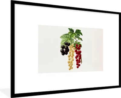 Produktbild von MuchoWow® Gerahmtes Poster Lebensmittel - Beeren - Obst 90x60 cm - Poster mit Schwarzem Bilderrahmen Wandposter Rahmen Foto Bilder - Wanddekoration - Fotos