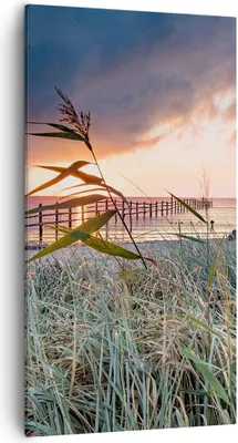 Produktbild von Bild auf Leinwand - Leinwandbild - Einteilig - Strand Gras Horizont - 55x100cm - Wand Bild - Wanddeko - Wandbilder - Leinwanddruck - Bilder - Wanddekoration - Leinwand bilder - PA55x100-4625