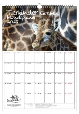 Produktbild von Tierkinder Giraffen Planer DIN A3 Kalender für 2027 Giraffen - Seelenzauber