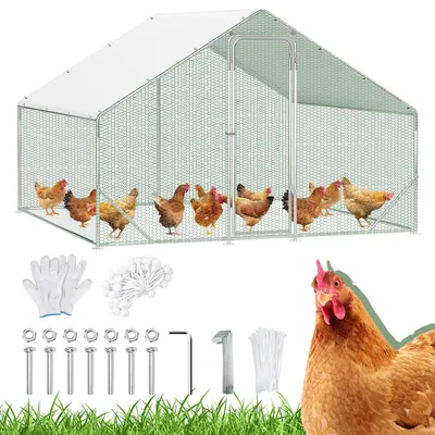Obrázek produktu pro Kurník Peviasot, rozměry 3 x 3 x 2 metry, plocha 9 m², se sedlovou střechou, z pozinkovaných trubek o průměru 25 mm, s zeleným PVC pletivem a bílou polyetylenovou plachtou s UV ochranou