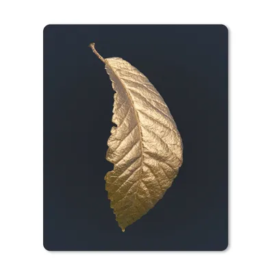 Produktbild von MuchoWow® Mauspad Mousepad Blätter - Luxus - Gold - Schwarz - Natur 30x40 cm - Mousepads - Maus Mat - Pad - Mausunterlage - Mausmatten