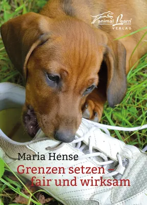 Produktbild von Grenzen setzen