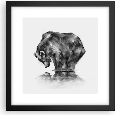 Produktbild von Gerahmtes Poster - Schwarzer Rahmen - Bär Tier - 30x30 cm - Wand Bild - Wanddeko - Wandbilder - Kunstposter - Wandposter - Bilderrahmen - Bilder - Kunstdruck - Wandbild - P2BAC30x30-3921
