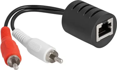 Produktbild von DELOCK Stereo Audio Extender RJ45 Bu zu 2x Cinch St 50m 2 St
