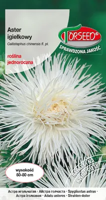 Produktbild von Samen von Aster hohe Nadel weiß 0.5g - Torseed