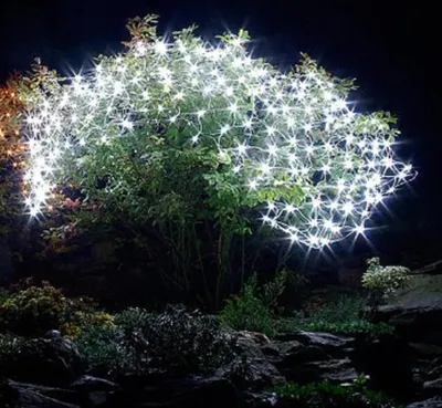 A bush decorated with many white LED lights at night.