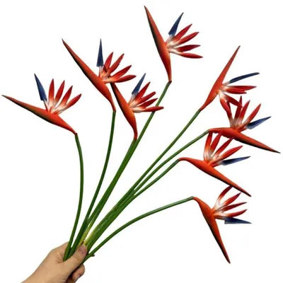 Image de Fleurs artificielles « oiseau de paradis », plantes vertes pour la maison, le jardin, le bureau, la véranda, les mariages, la décoration, orange, rouge, lot de 8