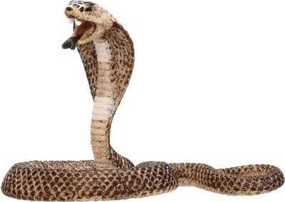 Produktbild von Schleich 14733 (17057) - Wild Life - Kobra