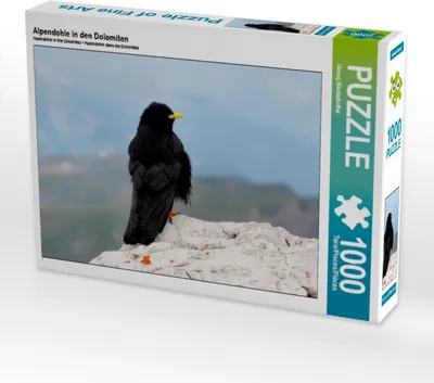 Produktbild von Calvendo Alpendohle in den Dolomiten 1000 Teile Puzzle quer 640x480mm, Niederkofler Georg; 7353376