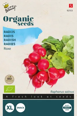 Image de Radis Raxe | Graines de radisde Buzzy Seeds