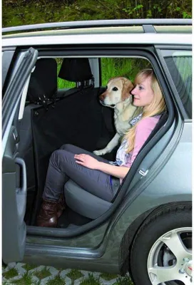 Obrázek produktu pro Černá plachta na auto 145 x 160 cm