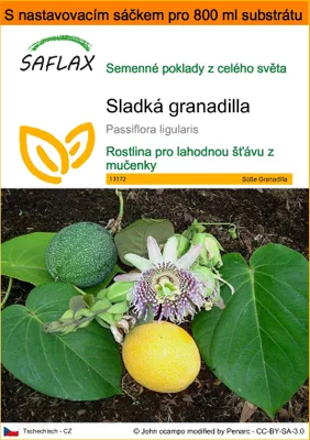 Obrázek produktu pro SAFLAX Garden in the bag - Sladká granadilla - Passiflora ligularis - 20 Semena - S pěstebním substrátem v praktickém samovztyčovacím sáčku