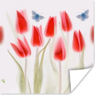 Produktbild von MuchoWow® Poster Bild von roten Tulpen 75x75 cm - Wand Dekoration