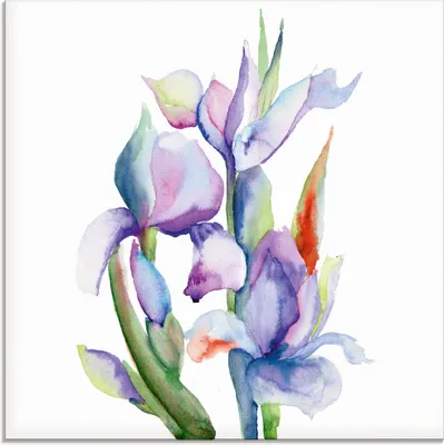 Produktbild von ARTland Glasbild Iris Größe: 40x40 cm