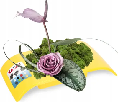 Zdjęcie produktu dla KADAX Doniczka Osłonka Donica Ikebana Kolory Kompozycja