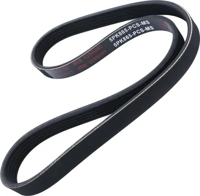 Produktbild von MASTER-SPORT Keilrippenriemen 865mm für BMW 3 Limousine (E46) 5PK865-PCS-MS