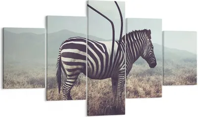Produktbild von Bild auf Leinwand - Leinwandbild - Zebra Tier Wiese - 125x70cm - Wand Bild - Wanddeko - Wandbilder - Leinwanddruck - Bilder - Kunstdruck - Wanddekoration - Leinwand bilder - Wandkunst - EA125x70-3959