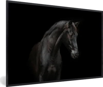 Produktbild von MuchoWow® MuchoWow® Gerahmtes Poster Pferd - Tier - Schwarz 90x60 cm - Poster mit zchwarzem Bilderrahmen - Fotorahmen - Foto-Plakat