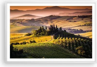 Produktbild von Gerahmtes Poster - Weißer Rahmen - Landwirtschaft Bauernhof Toskana Weinberg - 91,5x61 cm - Wand Bild - Wanddeko - Wandbilder - Wandposter - Bilderrahmen - Bilder - Kunstdruck - P2WAA91x61-2465