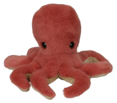 Immagine prodotto di Octopus Plush – Lingua: Inglese