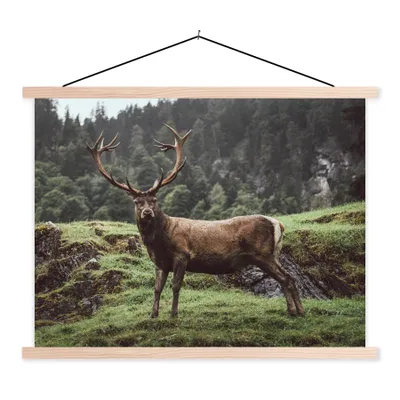 Produktbild von MuchoWow® Textilposter Hirsch - Baum - Berg 40x30 cm mit holzfarbenen Rahmen - Bilder