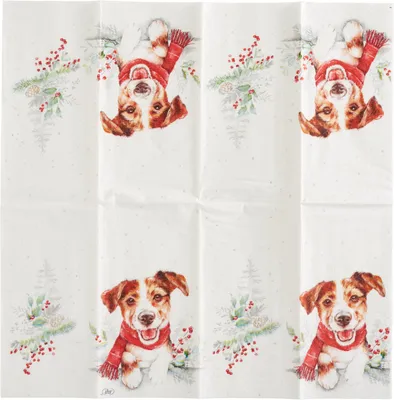Produktbild von IHR Papiertaschentücher Louie 21x21 cm 10 Stück