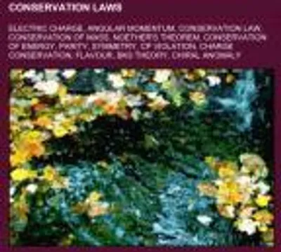 Produktbild von Conservation laws