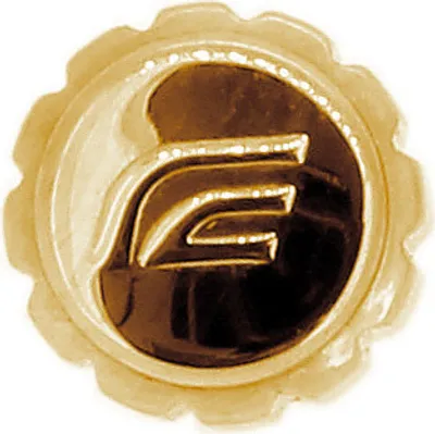 Produktbild von Uhrenkrone Edelstahl goldfarben Casio Edifice EFR-539SG-1AV EFR-539