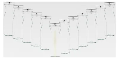 Produktbild von 12er Set Milchflaschen 250ml mit Twist-Off Deckel TO53 Silber