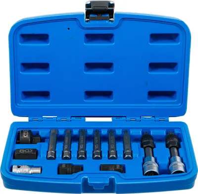 Produktbild von BGS 4246 Lichtmaschinen-Bitsatz, 12,5 (1/2) Antrieb, 12 -tlg.