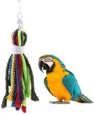 Immagine prodotto di Giocattolo in corda per pappagalli in materiale sintetico naturale dai colori vivaci; cordicelle in cotone naturale per la pulizia e l'alimentazione; giocattolo da masticare e mordere; accessori per gabbie per uccelli adatti a cacatua grigi africani, conuri, piccoli pappagalli e lori