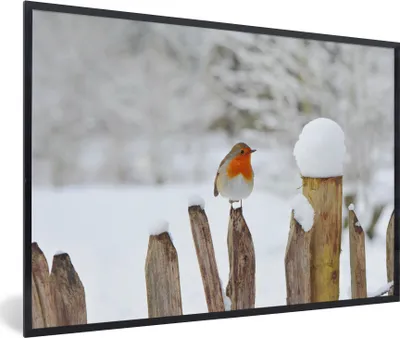 Produktbild von MuchoWow® MuchoWow® Gerahmtes Poster Vogel - Zaun - Schnee 30x20 cm - Poster mit zchwarzem Bilderrahmen - Kunstdruck - Bild-Poster