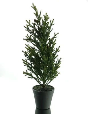 Produktbild von Weihnachtsbaum Konifere Grün im Topf 49 cm - Kunststoff