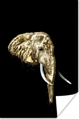 Produktbild von MuchoWow® Poster Elefant - Schwarz - Gold 40x60 cm - Plakate für die Wand - Poster Babyzimmer