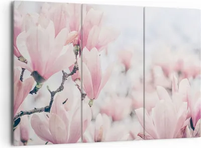 Produktbild von Bild auf Leinwand - Leinwandbild - 3 Teile - Magnolie Blumen Rosa - 165x110cm - Wand Bild - Wanddeko - Wandbilder - Leinwanddruck - Bilder - Wanddekoration - Leinwand bilder - CE165x110-4396