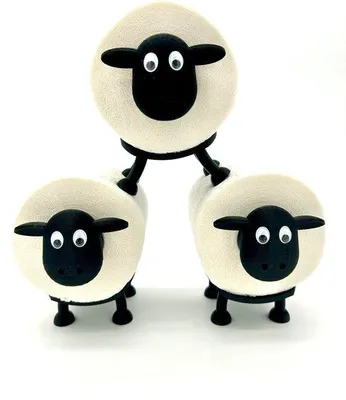 Obrázek produktu pro Černý držák na toaletní papír s držákem na náhradní roli, elegantní design