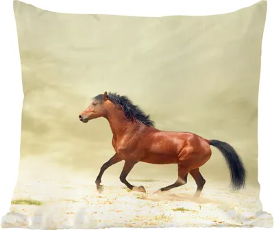 Produktbild von MuchoWow® Zierkissen Sofakissen Wohnzimmer Dekokissen 50x50 cm Pferd - Stoff - Sand - Komfort - Sofakissen