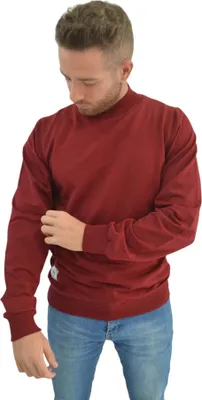 Produktbild von Sweatshirt Hoodies Royyen 2599 mit hochgeschlossenem Ausschnitt Herren – DUNKEL ROT / L