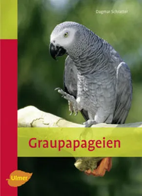 Produktbild von Graupapageien