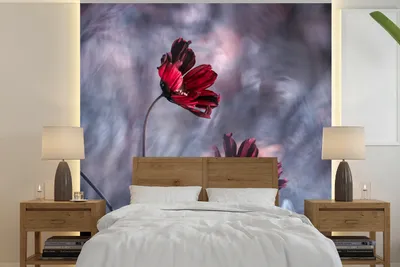 Produktbild von MuchoWow® Fototapete für Wohnzimmer oder Schlafzimmer Wandtapete Vinyl Motivtapete Blumen - Rot - Pflanzen - Natur - 240x240 cm - Schlafzimmer-Tapete