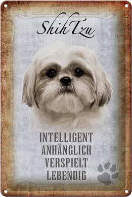 Produktbild von Blechschild Spruch 20x30cm Shih Tzu Hund Schild