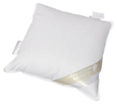 Produktbild von Hofmann Kopfkissen Daunenkissen Kuschelkissen 45x45 100% neue Daunen 250 g prall