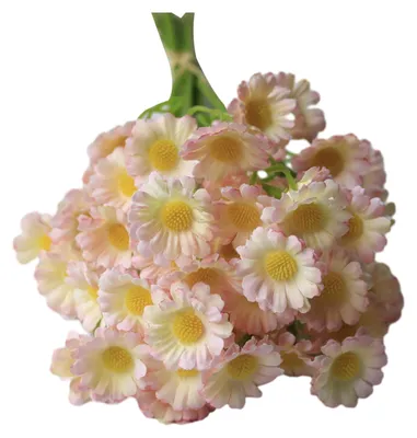 Produktbild von Künstlicher Blumenstrauß mit flexiblen Stielen, naturgetreue Seidenblumen für Wald-Thema, pflegeleichte Tischdekoration für Hochzeiten, Foto-Requisiten