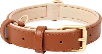 Produktbild von HEELE Hundehalsband, Hundehalsband mit Gepolstert und Echtes Leder, Verstellbar, Halsband für Welpen Kleine Hunde, Braun, XS