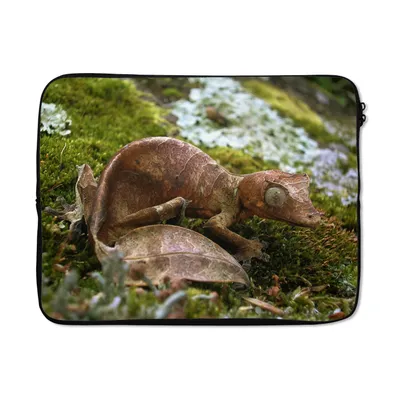 Produktbild von MuchoWow® Laptop Hülle 17 Zoll Laptoptasche Uroplatus phantasticus Gecko - Zipper - Schutzabdeckung