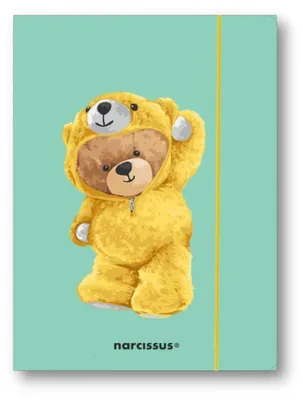 Obrázok produktu pre Teczka A4+ z gumką Teddies&Miś do przechowywania dokumentów