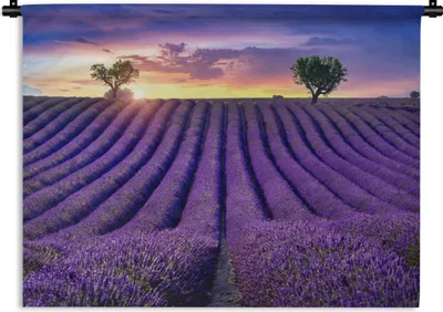 Produktbild von MuchoWow® Wandteppich Wandbehang Lavendel - Hügel - Sonnenuntergang - Bpmen - Lila 90x67.5 cm Tapisserie Dekoration Wandtuch - Fototeppich - Wand-Skulpturen