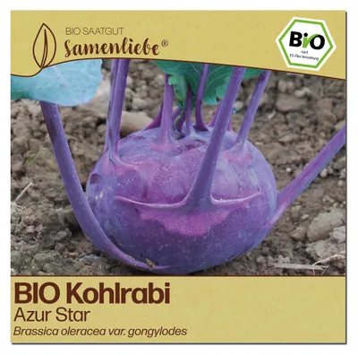 Produktbild von Samenliebe  Kohlrabi Samen | Azur Star - violett - samenfestes  Saatgut