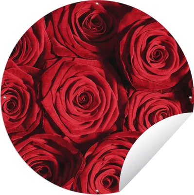 Produktbild von MuchoWow® Gartenposter Outdoor-Poster Rund Rosen - Rose - Rot Ø 120 cm Gartendeko Rundes Poster draußen
